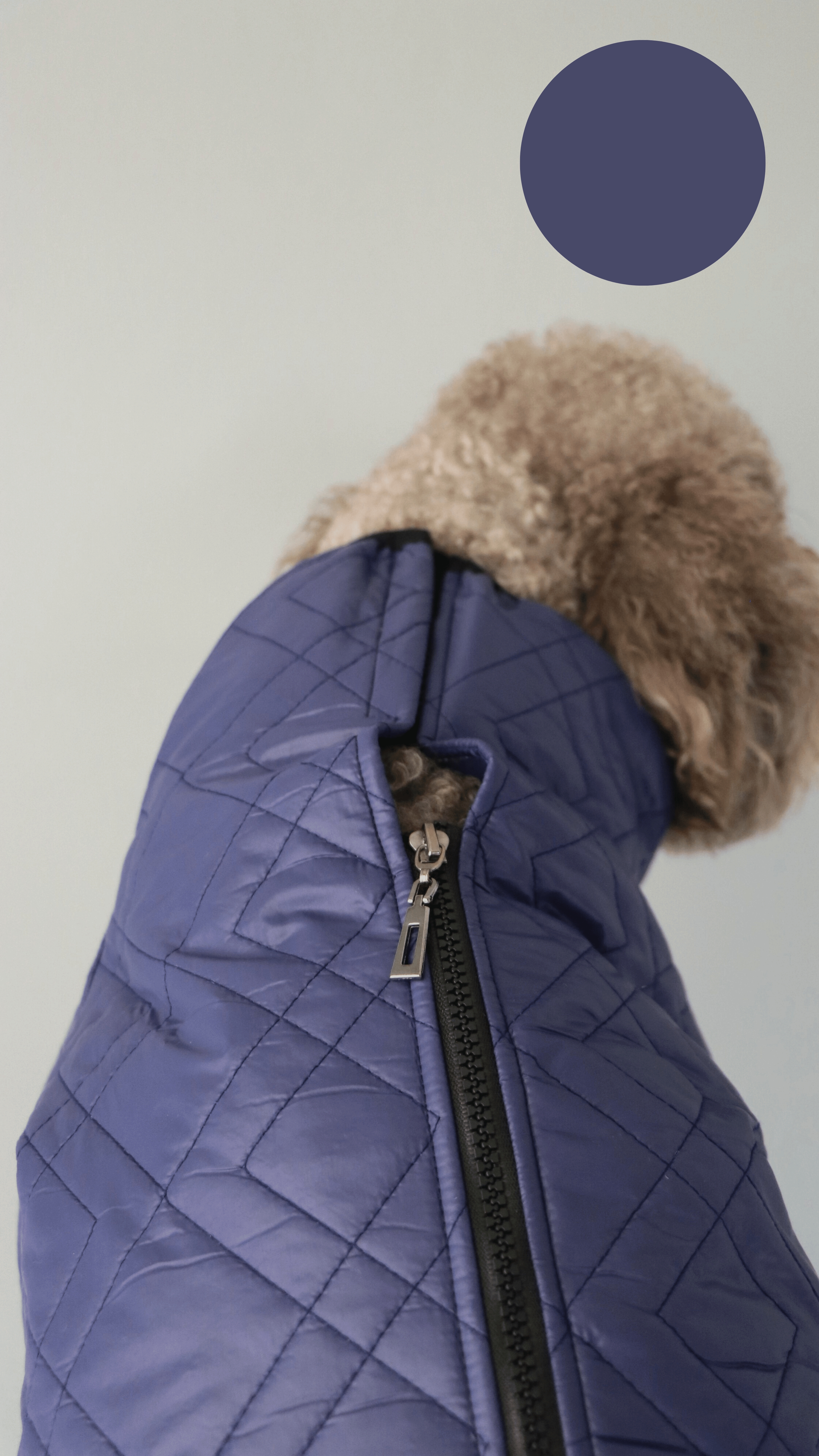 NAVYBLUE MONT